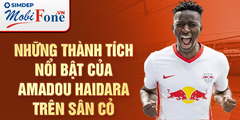 Những thành tích nổi bật của Amadou Haidara trên sân cỏ