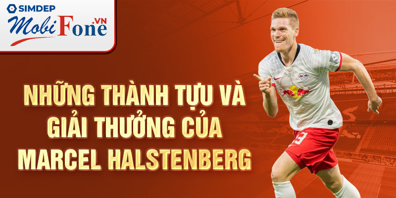 Những thành tựu và giải thưởng của Marcel Halstenberg