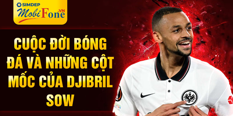 Cuộc đời bóng đá và những cột mốc của Djibril Sow