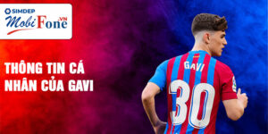 Thông tin cá nhân của gavi