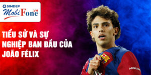 Tiểu sử và sự nghiệp ban đầu của joão félix