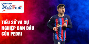 Tiểu sử và sự nghiệp ban đầu của pedri