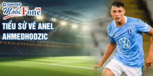 Tiểu sử về anel ahmedhodzic