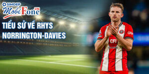 Tiểu sử về rhys norrington-davie