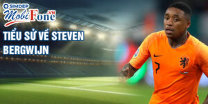 Tiểu sử về steven bergwijn