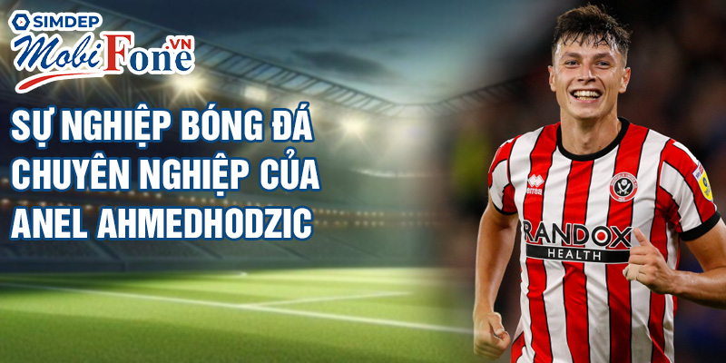Sự nghiệp bóng đá chuyên nghiệp của Anel Ahmedhodzic