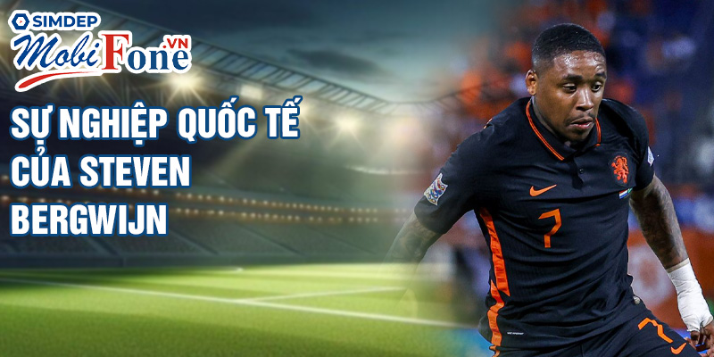 Sự nghiệp quốc tế của Steven Bergwijn
