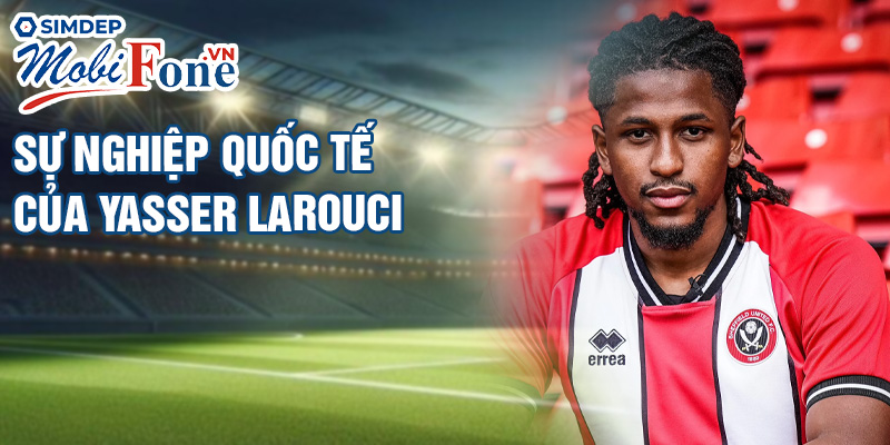 Sự nghiệp quốc tế của Yasser Larouci